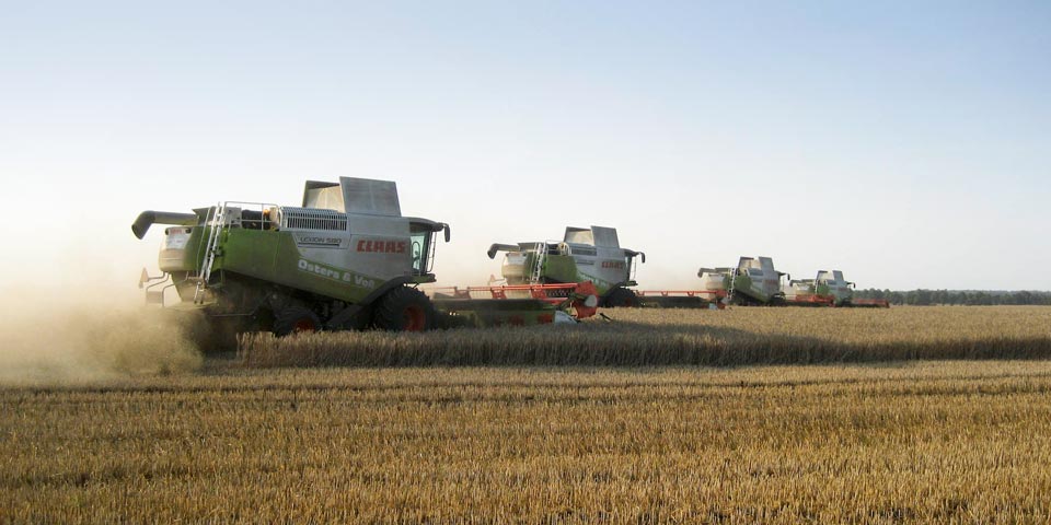 Mähdrescher Claas Lexion in Formation