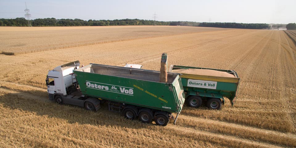 Hawe-Überladewagen beim Verladen von Weizen auf einen 3-Achs-Alu-Muldenkipper